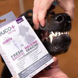 Baci+ Oral Health Buco+ 100mg cat/dog 35mg under 15kg