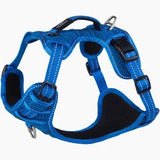 Rogz Explore harness blue medium