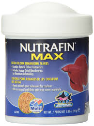 NFM betta color enhancing flakes 24g