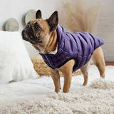 GF Pet elasto fit cloud parka- purple small