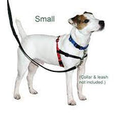 Halti front control harness small