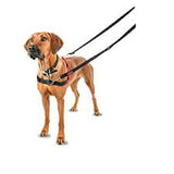 Halti front control harness medium