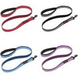 Halti lead small bleu