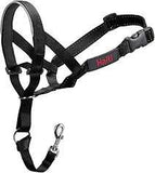 Halti headcollar size 3