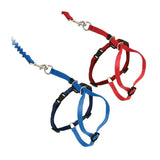 Petsafe come with me harness and leash set - Red, Medium