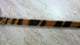 animal print collar 1/2-10"