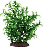 Fluval large bacopa plant 8"