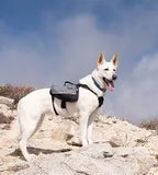 Zippy Paws Adventure backpack Large graphite