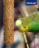 Vitakraft parakeet golden honey sticks 2pk
