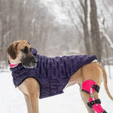 GF Pet Elasto fit cloud parka purple 3XLARGE