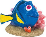 Dory on coral 3"