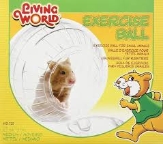 LW exercise ball 6.6"