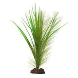 Fuval green feather plant5"