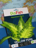 Glofish Plant yellow fern med