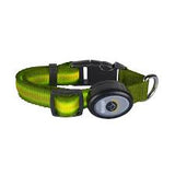 Led collar 10-14" green