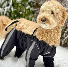 Bodyguard all weather protective pants Med grey