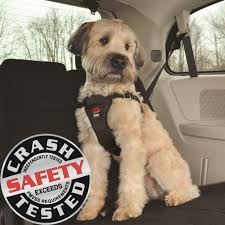 Easy rider car harness sm bk