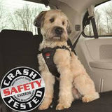 Easy rider car harness sm bk
