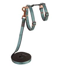 Urban cat harness and lead turquoise 9-15"
