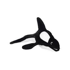 Tuffy killer whale