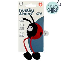 Chirpy Ladybug