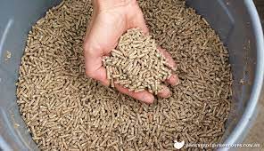Chicken layer pellet 18% 25kg