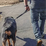 Coastal double ply nylon traffic leash 24"