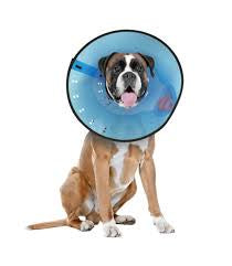 E-collar large 9.5"-15.5"