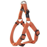 Utility Step in harness small Orange