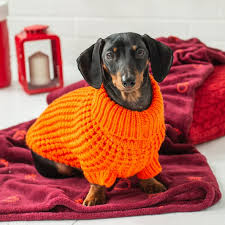 GF scout sweater orange XXsmall