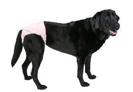 PoochPants diaper large pink627987826104