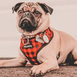 Bcuddly control harness red plaid medium