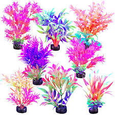 Marina iGlo plant 5.5"