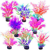 Marina iGlo plant 5.5"