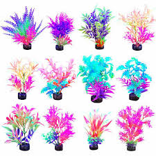 Marina iGlo plant 5.5"