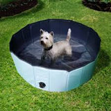 Foldable portable pet pool
