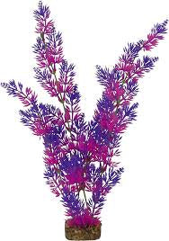 Glofish plant purple pink Xlg
