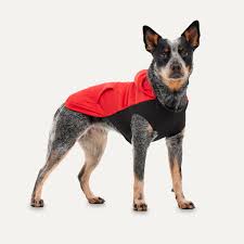 Kangaroo fleece hoodie Xlg