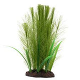 Fluval green feather plant 8"