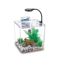 Nubios Desktop betta bowl square S