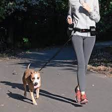 hands free Waist Belt Bungee Leash