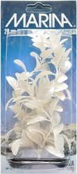 Marina 12.5cm red ludwigia white pearl