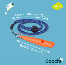 Coachi training whistle