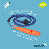 Coachi training whistle