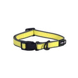 Amphibian collar yellow medium