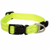 Classic collar medium Dayglo