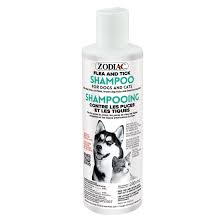Zodiac flea and tick shamp 240ml