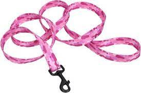 Remington nylon camo pink Leash 6'