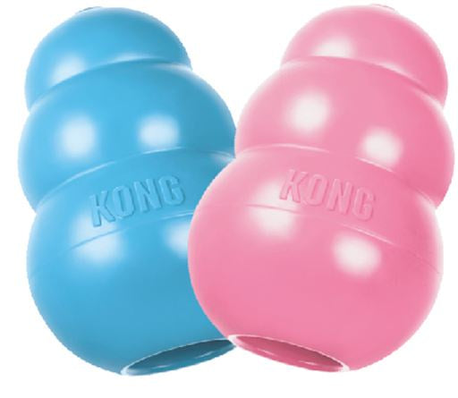 Kong puppy small