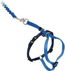 Petsafe come with me kitty blue large